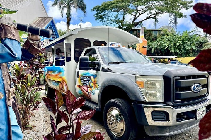 Scenic Drive to Magens Bay Beach — St. Thomas Day Trip from Cruise Port photo 3