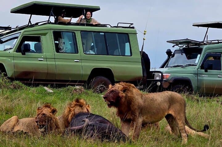 Private 3-Day Maasai Mara Safari — Luxury Camp, 4x4 Game Drives & Maasai Village photo 3