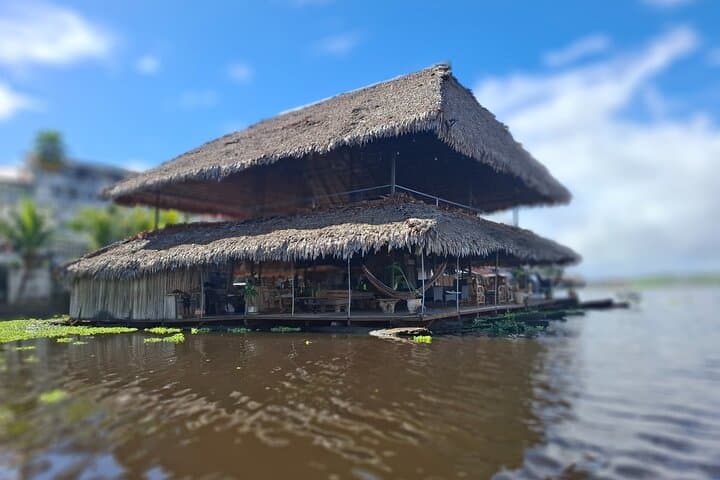 Itaya and Amazon River Confluence Cruise — Dolphin & Riverbank Wildlife Tour photo 6