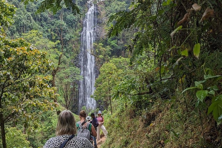Materuni Waterfall & Chemka Hot Springs: Kilimanjaro Coffee, Maasai Culture Day Tour photo 2