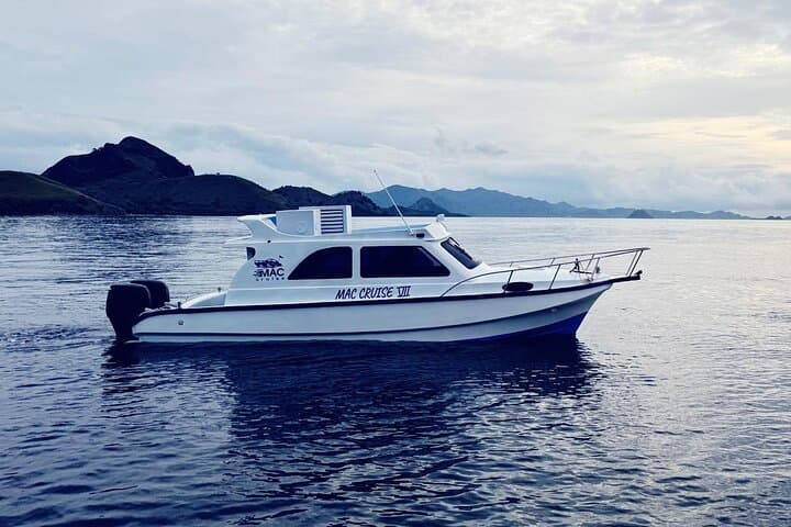 Komodo National Park Full-Day Tour: Padar, Komodo Dragons, Pink Beach & Mantas photo 1