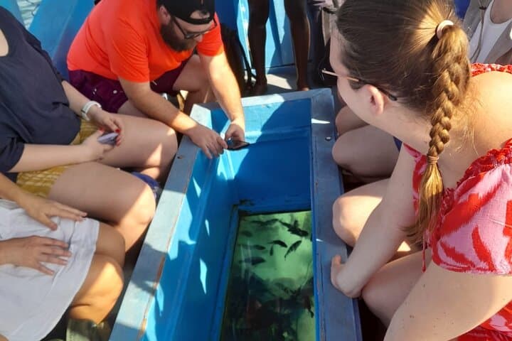 Glass-Bottom Boat Tour to Robinson Island from Diani Beach