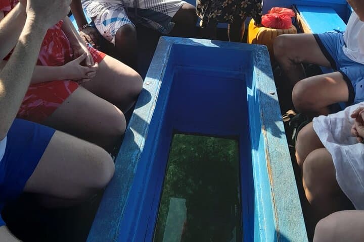 Glass-Bottom Boat Tour to Robinson Island from Diani Beach photo 3