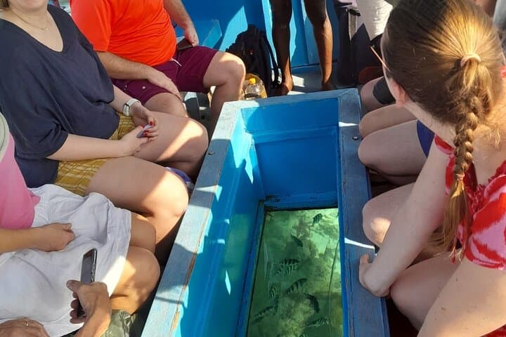 Glass-Bottom Boat Tour to Robinson Island from Diani Beach photo 4
