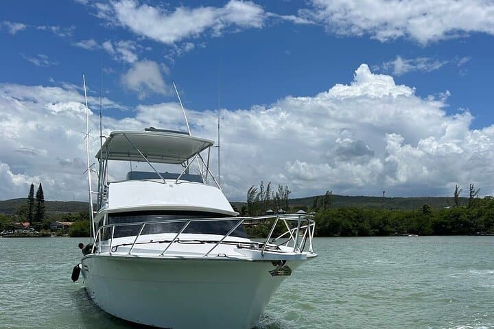Private Yacht Cruise from Montego Bay to the Luminous Lagoon photo 2