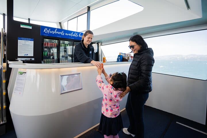 Wellington Harbour Electric 90-Minute Cruise — Zero-Emissions Sightseeing photo 5