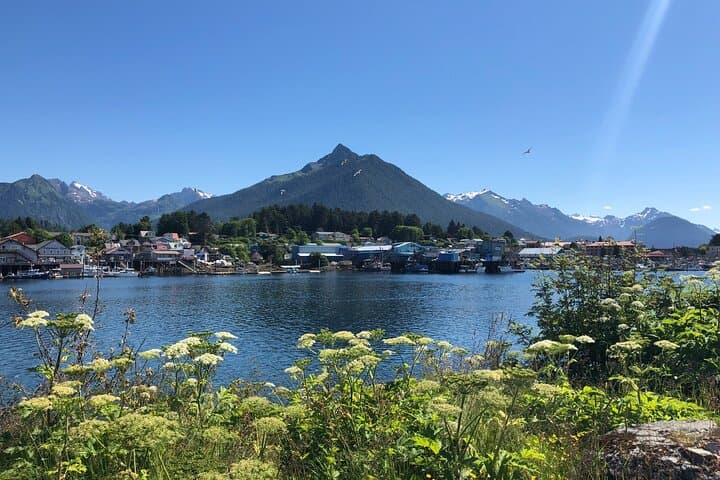 Sitka Nature Walks: Beaches, Totems and Sea-View Hikes
