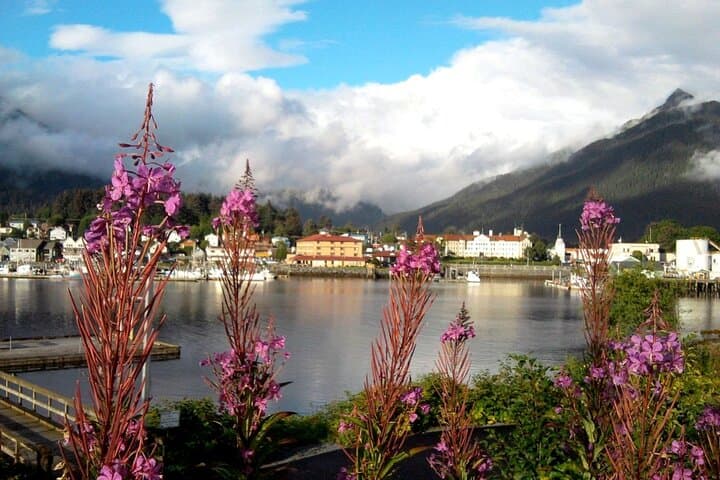 Sitka Nature Walks: Beaches, Totems and Sea-View Hikes photo 5