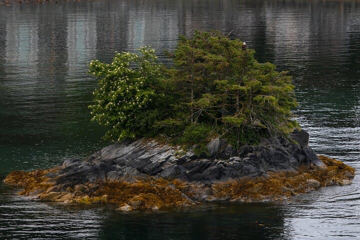 Sitka Nature Walks: Beaches, Totems and Sea-View Hikes photo 6