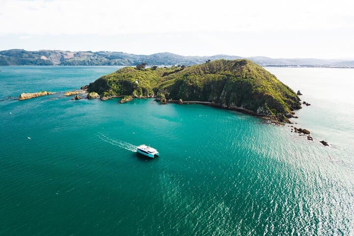 Wellington Harbour Electric 90-Minute Cruise — Zero-Emissions Sightseeing
