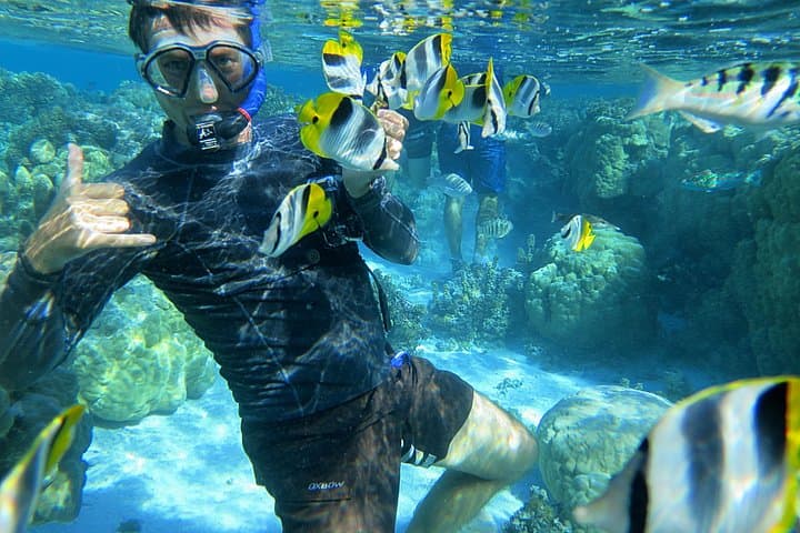 Half-Day Tahaa Coral Garden Snorkel from Raiatea — Lagoon Highlights for Cruise Stopovers photo 3