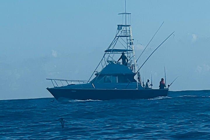 Kauai 4-Hour Bertram Big-Game Fishing Charter — Marlin, Tuna & Wahoo photo 3