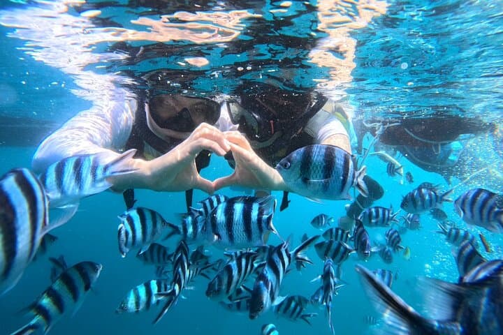 Blue Cave Okinawa Snorkeling: Cape Maeda Boat Tour with Free GoPro Photos