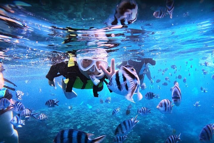 Blue Cave Okinawa Snorkeling: Cape Maeda Boat Tour with Free GoPro Photos photo 2