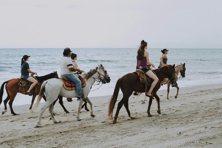 Nosara Golden Sunset Horseback Riding Tour at Playa Pelada photo 4