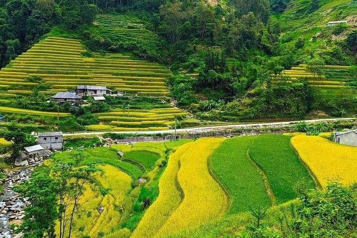 Ha Giang Loop 4-Day Easy Rider: Homestays, Ma Pi Leng & Dong Van Plateau photo 4