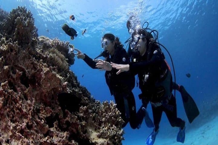Okinawa Blue Cave Snorkel & Intro Dive — Free GoPro Photos at Maeda Point photo 2