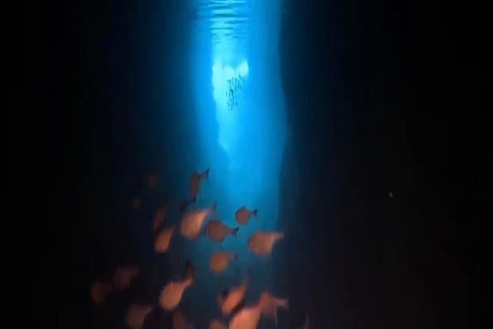 Okinawa Blue Cave Snorkel & Intro Dive — Free GoPro Photos at Maeda Point photo 3