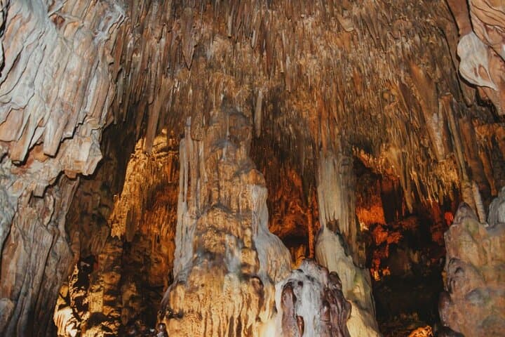 Cycle Phong Nha: Botanic Garden, Paradise Cave & Dark Cave Day Adventure photo 2
