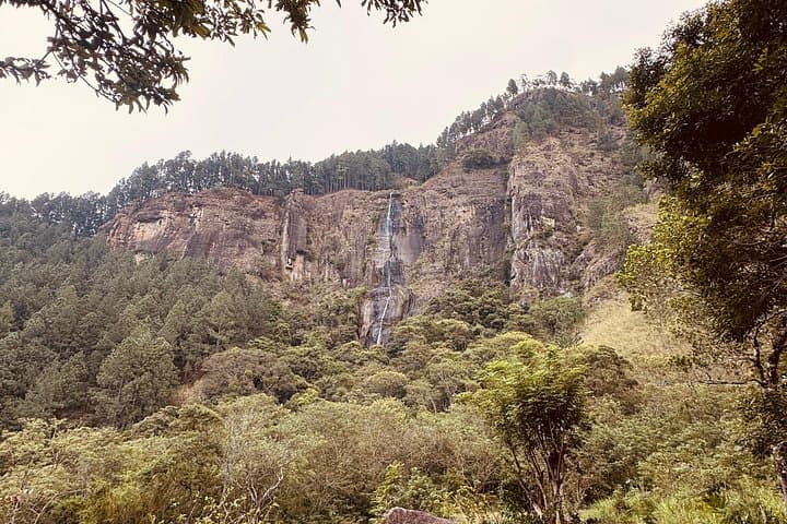 9-Day Tailor-Made Sri Lanka: Culture, Tea Country & Coastal Wildlife photo 4