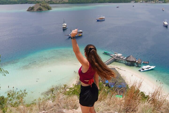 Komodo One-Day Speedboat: Padar Summit, Pink Beach & Manta Snorkel