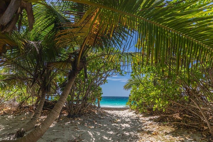 Private Island-Hopping Charter to Curieuse, St-Pierre, Sister, Coco & Félicité photo 4
