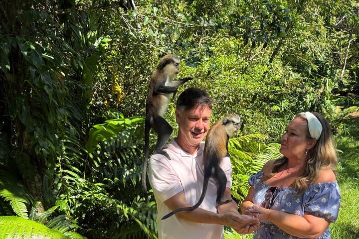 Grenada Nature Lovers: Customizable Island Exploration from St. George's
