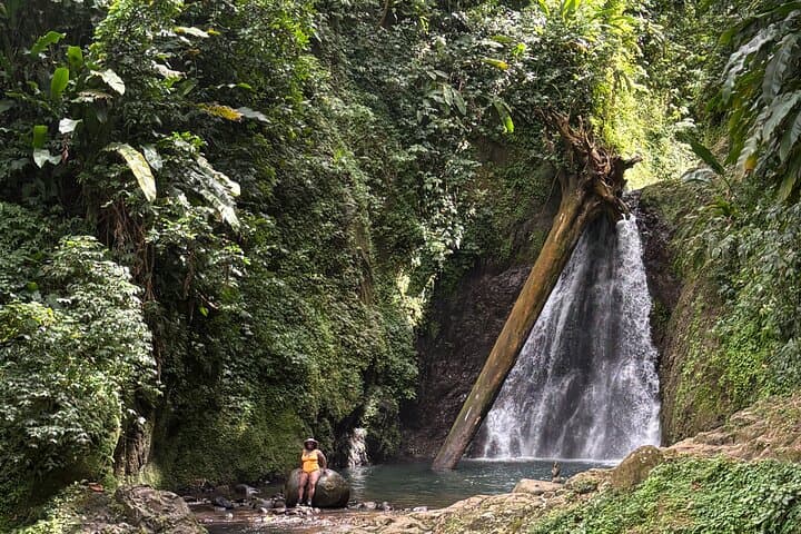 Grenada Nature Lovers: Customizable Island Exploration from St. George's photo 2