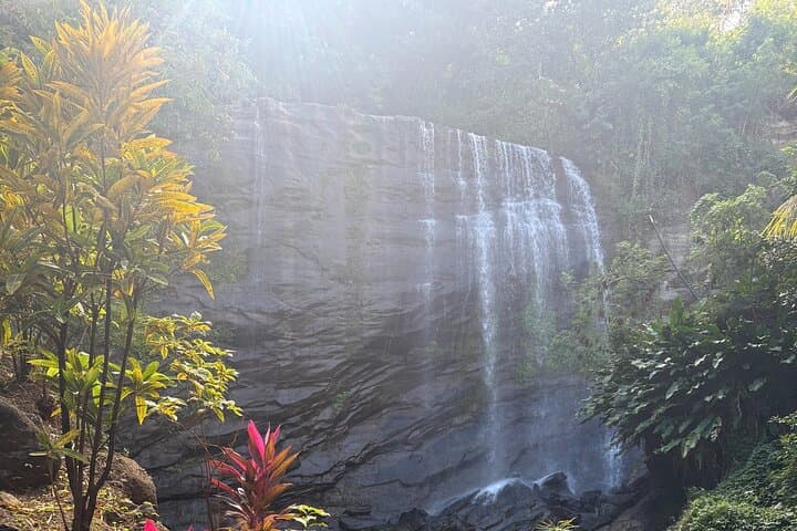 Grenada Nature Lovers: Customizable Island Exploration from St. George's photo 3