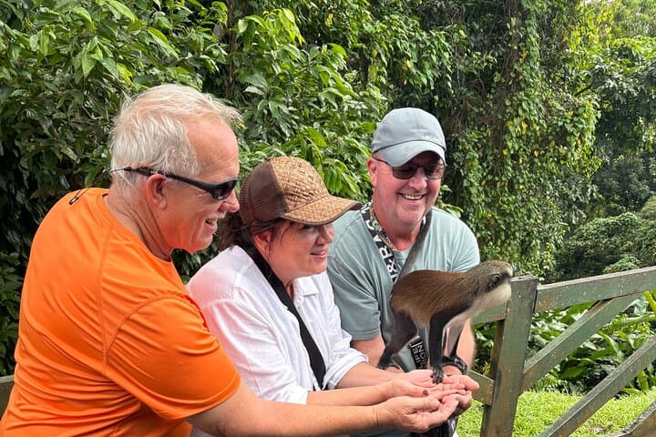 Grenada Nature Lovers: Customizable Island Exploration from St. George's photo 4