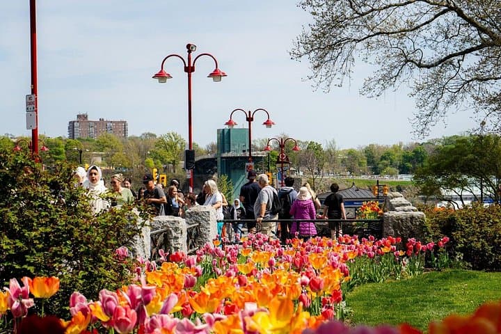 Niagara Falls Cruise & Scenic Walking Tour — Voyage to the Falls with Guided Riverwalk photo 3