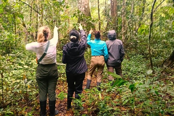 Iquitos 3-Day Amazon Expedition: Jungle Lodge, Wildlife & River Cruises photo 6