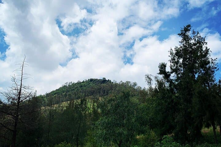 Cerro de la Estrella New Fire Pyramid Tour & Mexico City Food Experience photo 3