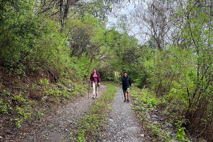 Tiger Cave Hike and La Majahua Coastal Trail near Ixtapa-Zihuatanejo photo 4