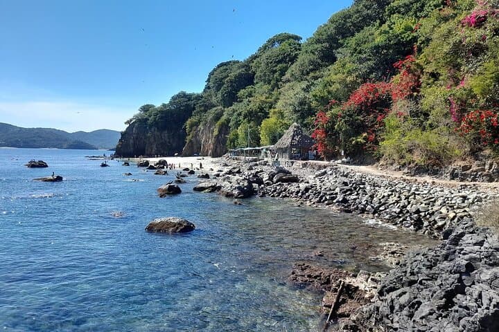 Day Trip to Rincón de Guayabitos & Coral Island — Snorkel, Beaches & Seafood photo 4
