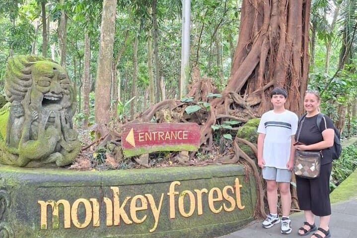 Private Ubud Sightseeing Tour: Monkey Forest, Rice Terraces & Tegenungan Waterfall photo 6