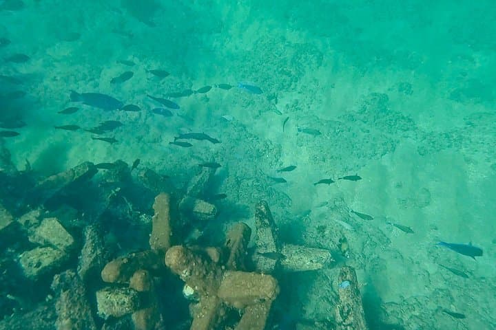Fort Lauderdale Ocean Snorkeling Tour — Nearshore Reefs, Marine Life & Practical Tips photo 3