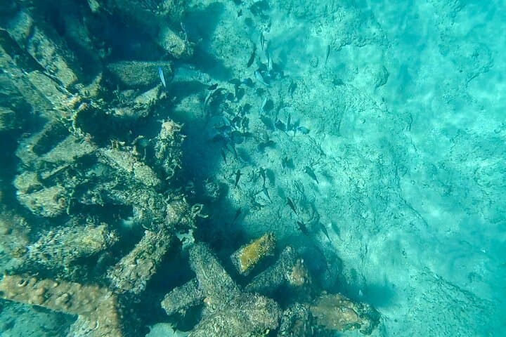 Fort Lauderdale Ocean Snorkeling Tour — Nearshore Reefs, Marine Life & Practical Tips photo 1