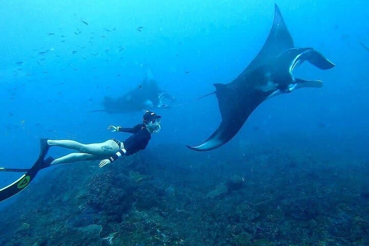 Snorkel with Manta Rays: Nusa Penida West Coast Full-Day Tour with Lunch