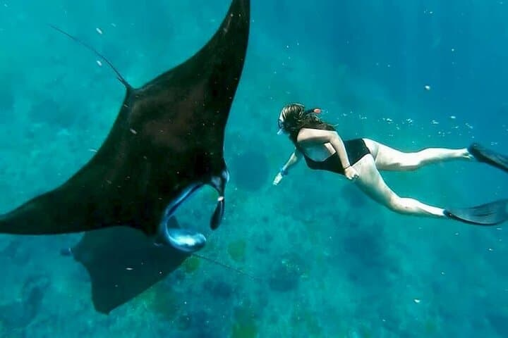 Snorkel with Manta Rays: Nusa Penida West Coast Full-Day Tour with Lunch photo 6