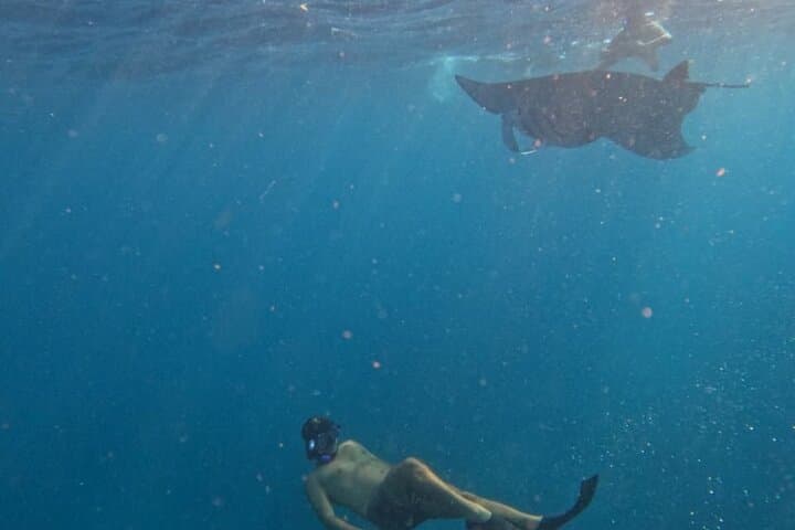 Snorkel with Manta Rays: Nusa Penida West Coast Full-Day Tour with Lunch photo 5