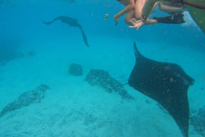 Snorkel with Manta Rays: Nusa Penida West Coast Full-Day Tour with Lunch photo 4