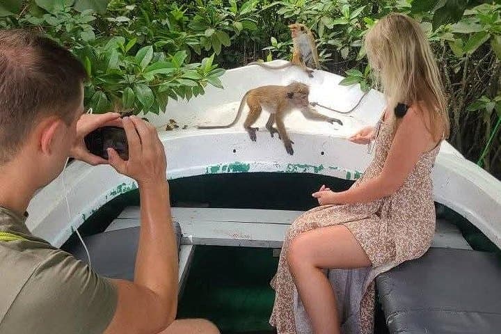 Koggala Lake Private Boat Safari: Cinnamon Island & Wildlife Experience photo 2