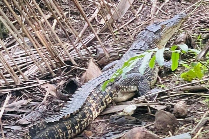 Koggala Lake Private Boat Safari: Cinnamon Island & Wildlife Experience photo 4