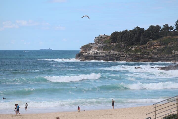 Private Sydney City Highlights with Bondi Beach: Full-Day Coastal and Harbour Tour photo 6