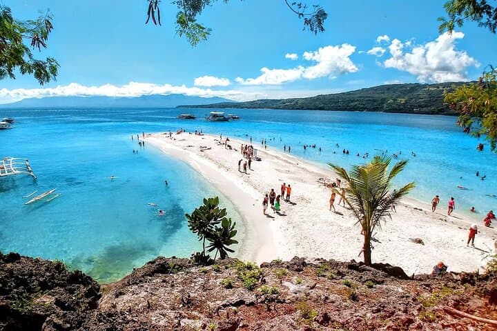 Cebu 3D2N Adventure: Whale Sharks, Pescador Island & Kawasan Falls photo 5
