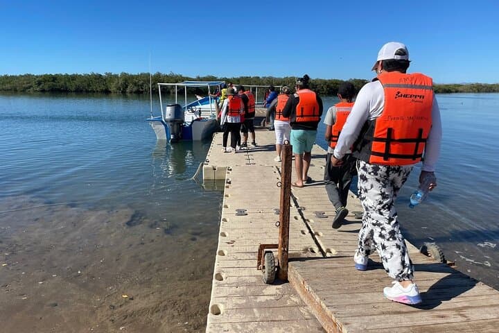 Puerto Chale Gray Whale Watching: Small-Group Panga Tours from La Paz photo 5