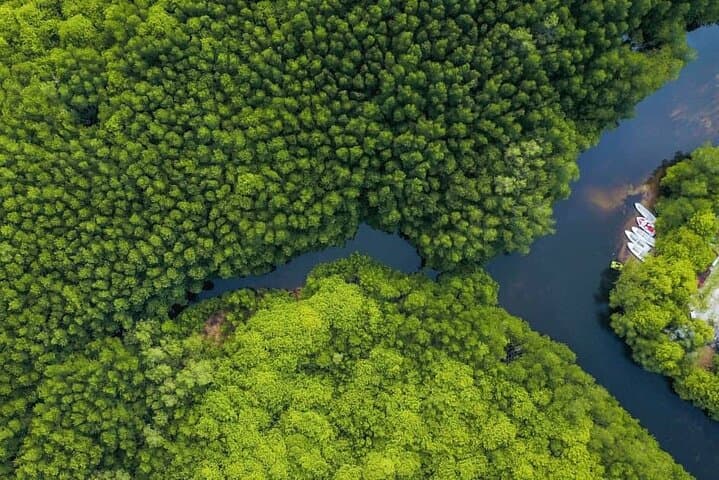 Kolkata to Sundarbans Full-Day Jungle Safari: Royal Bengal Tiger Boat Tour photo 2