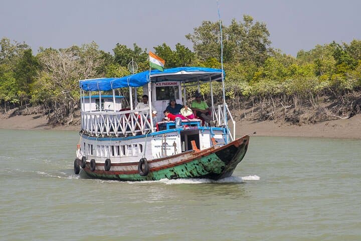 Kolkata to Sundarbans Full-Day Jungle Safari: Royal Bengal Tiger Boat Tour photo 5