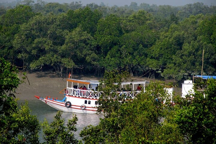 Kolkata to Sundarbans Full-Day Jungle Safari: Royal Bengal Tiger Boat Tour